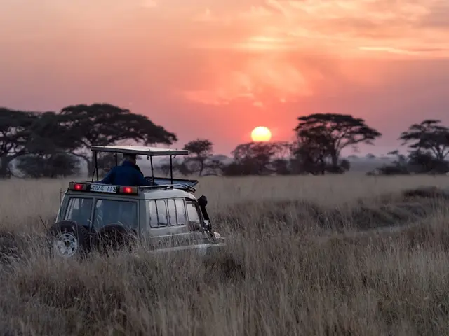 Safari adventure at sunset